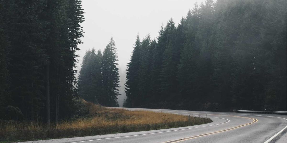 The Most Anticipated Literary Adaptations Coming to TV and Film in 2026